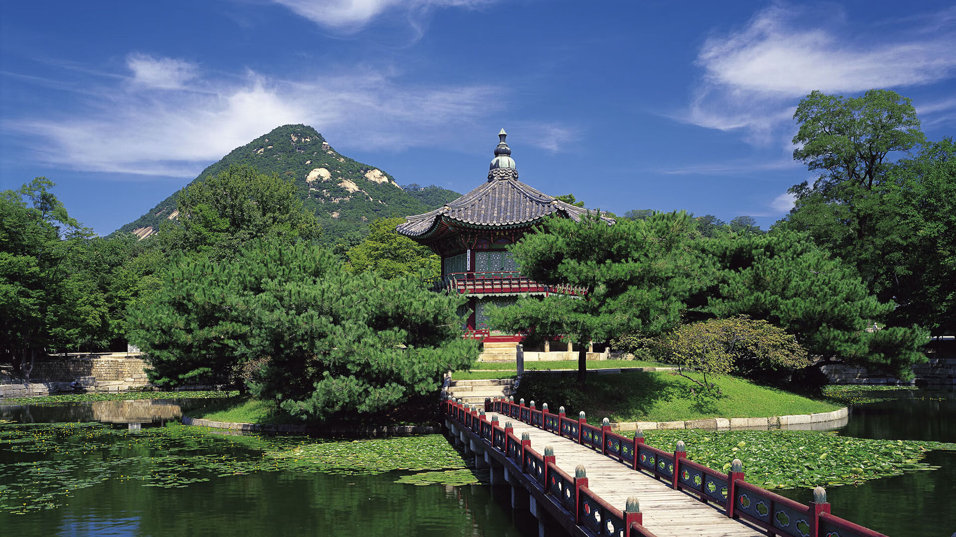 _猛龙展现韧性,逆转赢得关键战_,猛龙yuta