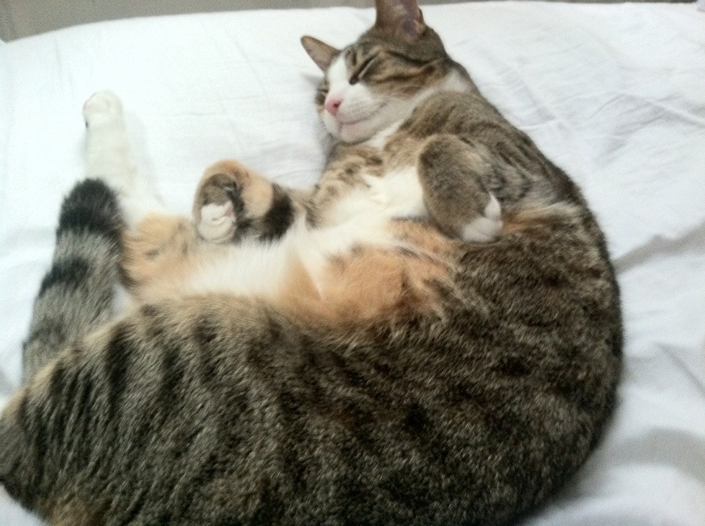 “英超劲旅持续发力,冠军争夺更趋紧张”,英超劲旅有哪些