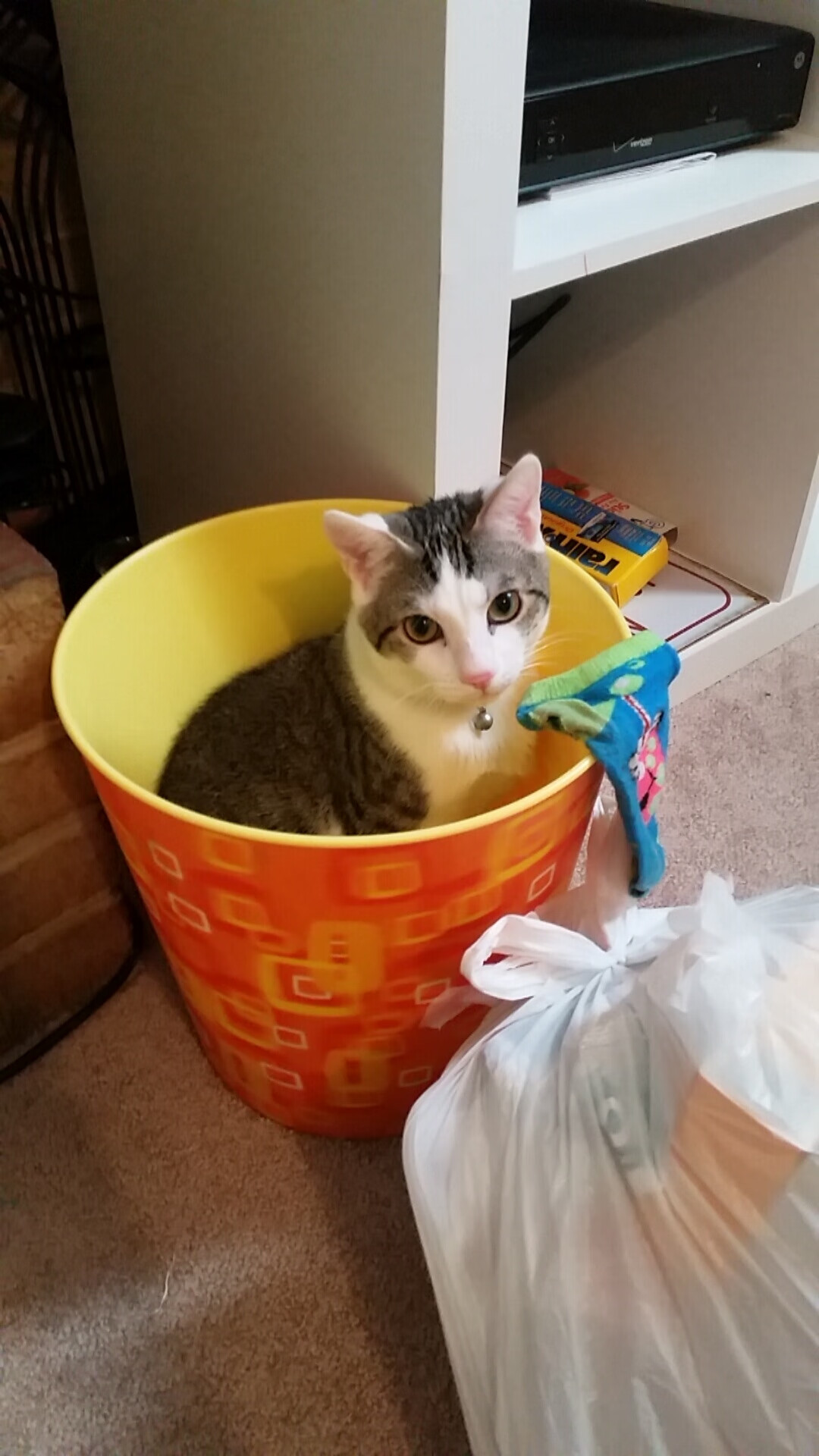 九游游戏中心-中国冰壶混双冲击奥运名额，末局惜败瑞典，中国冰壶奥运冠军