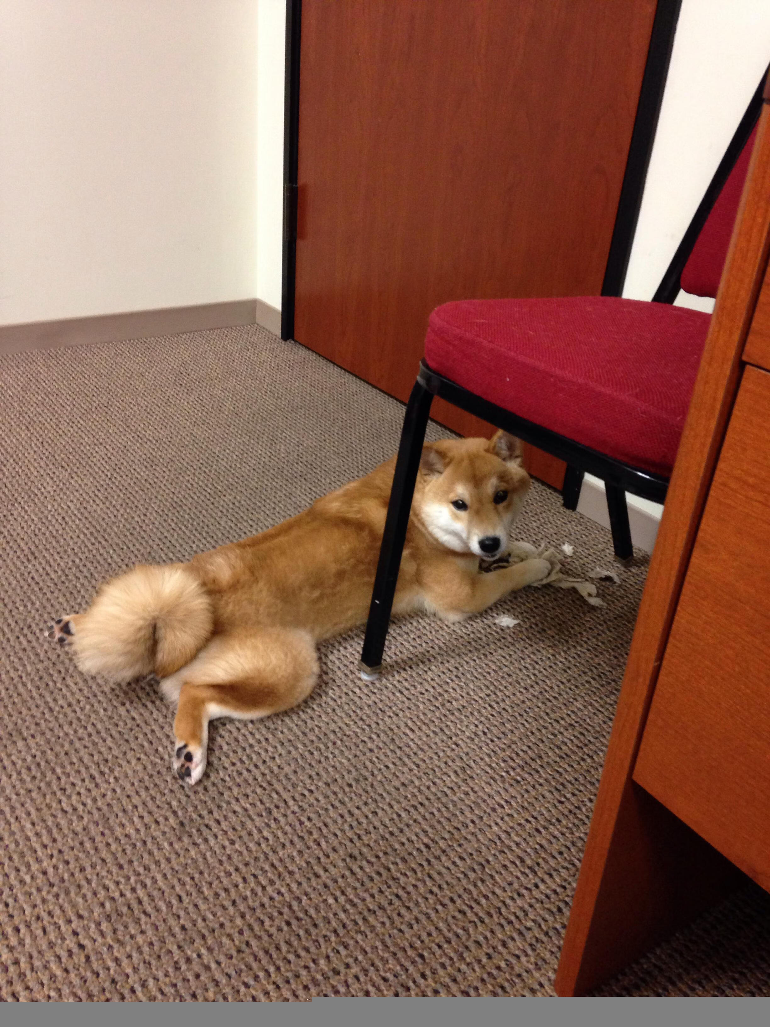 史上最“豪门对决”:欧洲巨头的巅峰对抗,欧洲足球豪门联盟