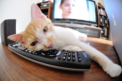 史上最“炸裂”盖帽时刻回顾,盖帽集锦高清视频