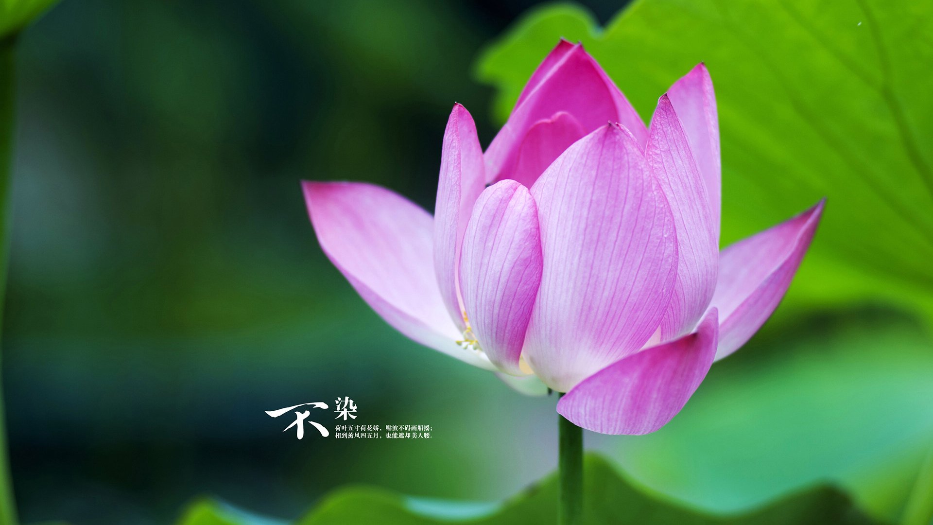 国际赛事背后的合作与竞争关系，国际赛事背后的合作与竞争关系有哪些