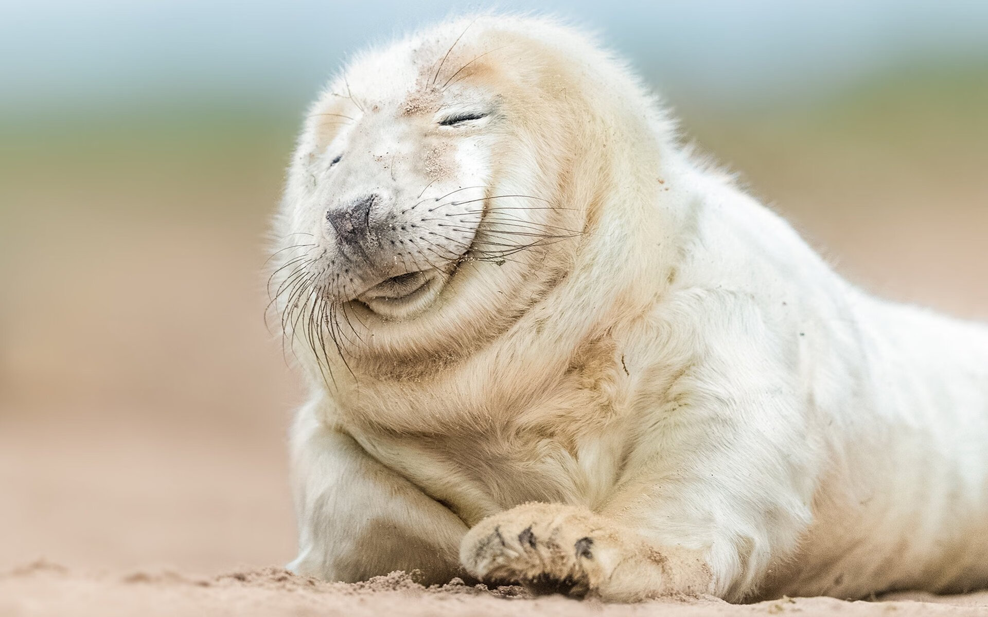 九游(jiuyou)官方网站-球场“铜墙铁壁”防线：最难攻破的防守奇观，铜墙铁壁铸防线