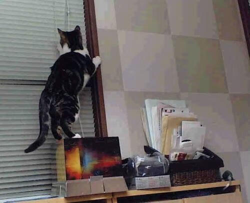 九游(jiuyou)官方网站-统计数据显示，哪些球队防守最稳？，防守能力最强的球员