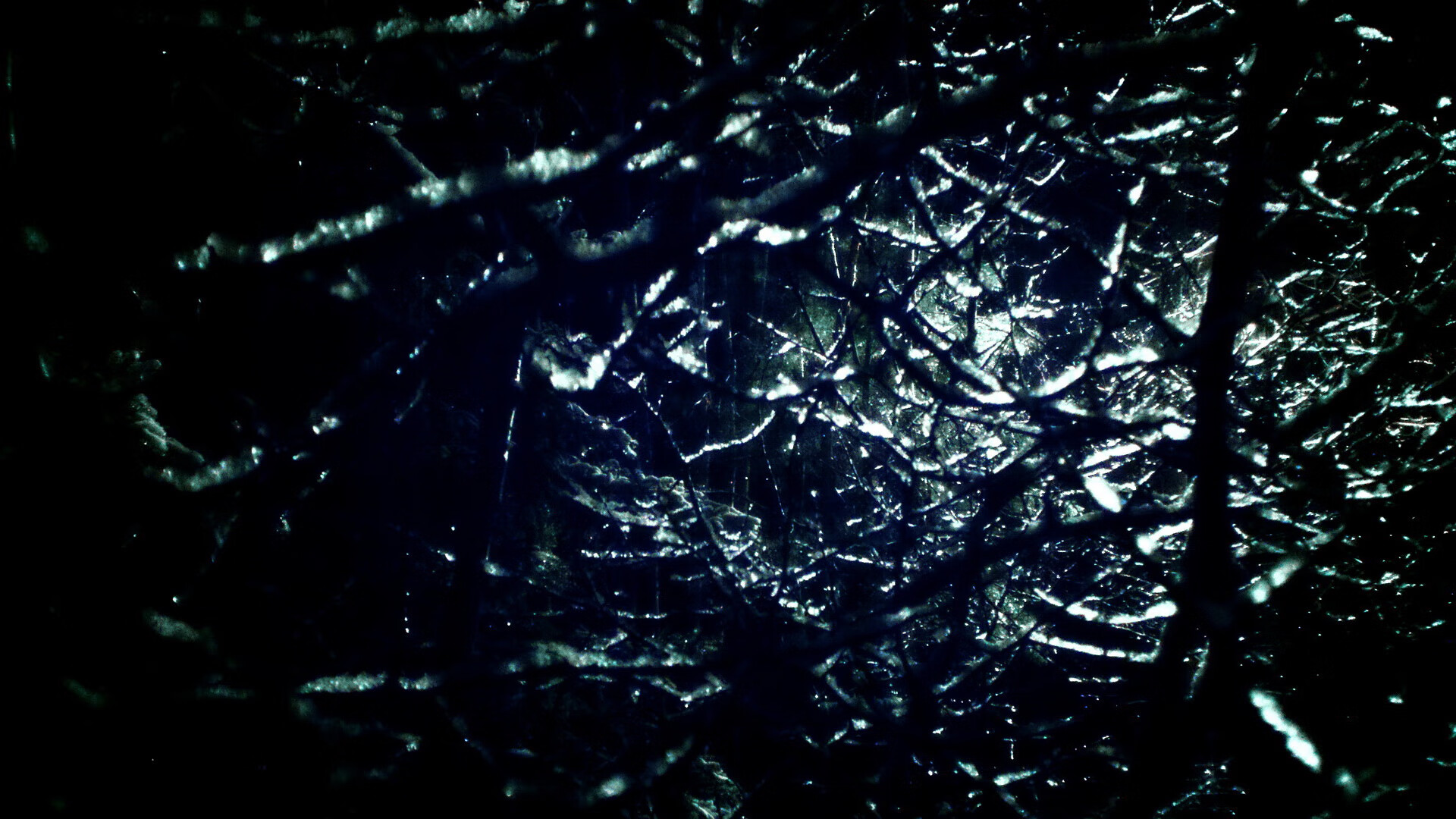 荷兰骑手 Emmelie Scholtens 在巴黎奥运会盛装舞步比赛中获得第八名，展现坚韧精神。