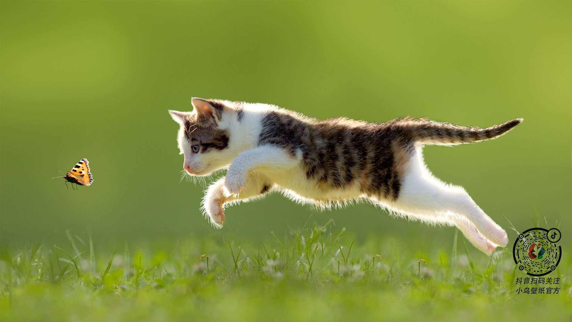 追逐冠军的补强策略，豪门纷纷出手