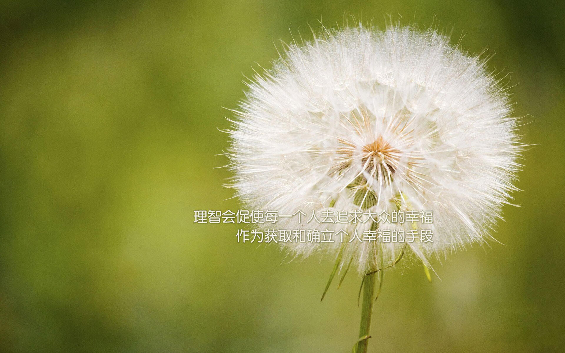 NBA电竞布局迈向全球化,nba电竞高手