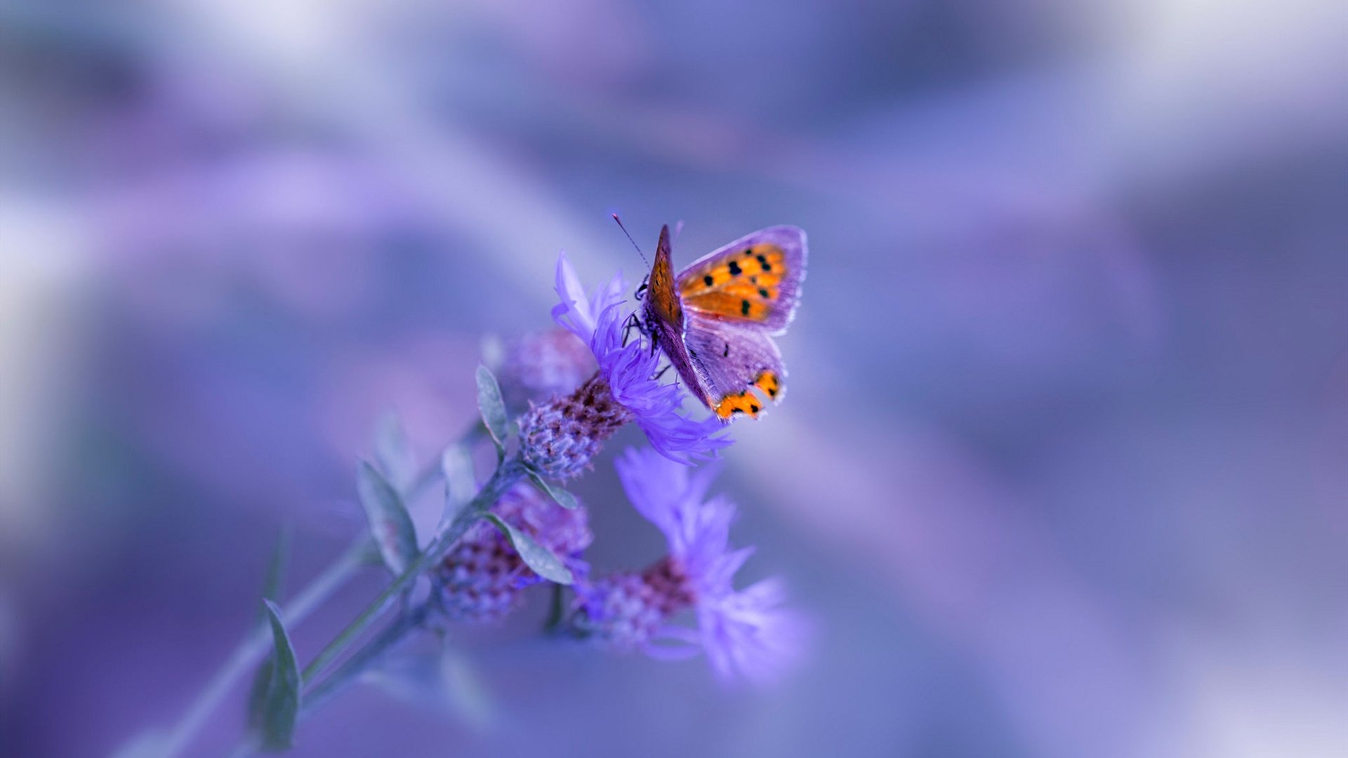 NBA传奇球星参加慈善赛，为抗击疫情贡献力量，nba慈善赛视频完整版