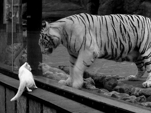 Jiu You-NBA推动电竞入驻主场场馆，nba 电竞