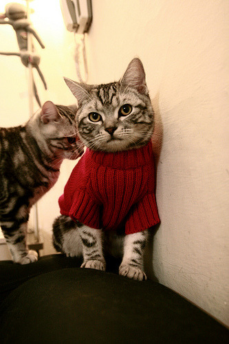 九游娱乐官网 (jiuyou)-利物浦凭借战术取胜！客场反超强敌，晋级之道，利物浦的打法风格