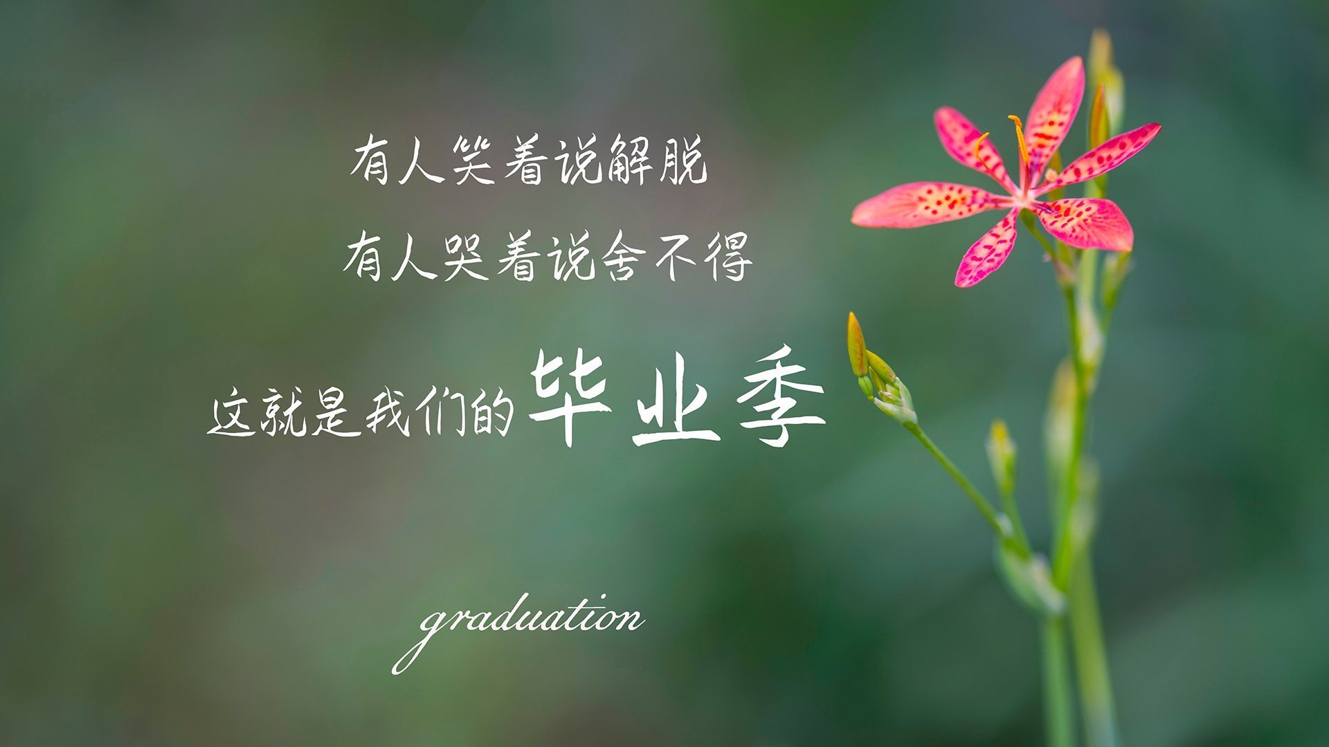 国家篮球联盟战略规划调整,国家篮球职业联赛