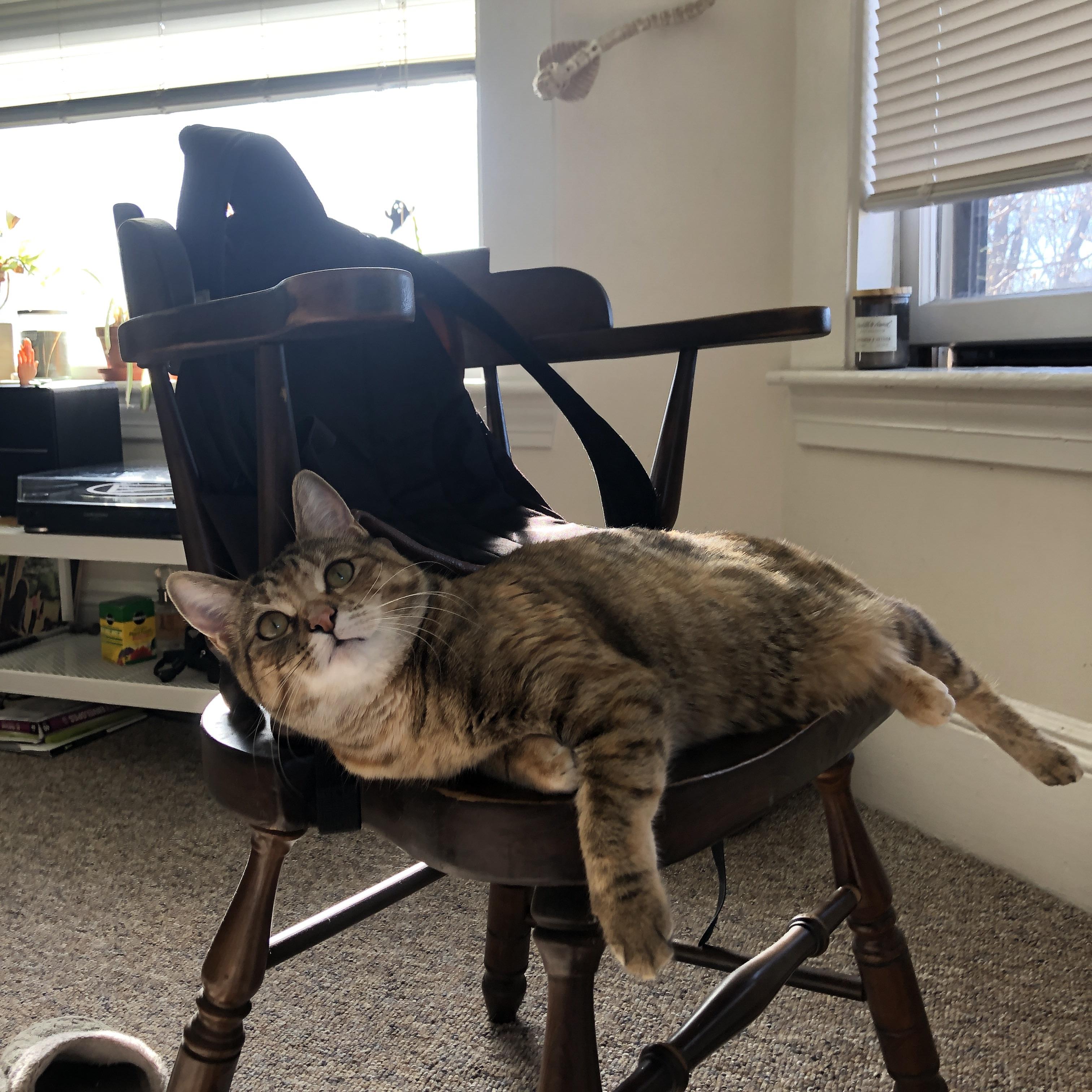 国内职业足球比赛赛程密集紧张,球员们备战全力,职业足球比赛规则