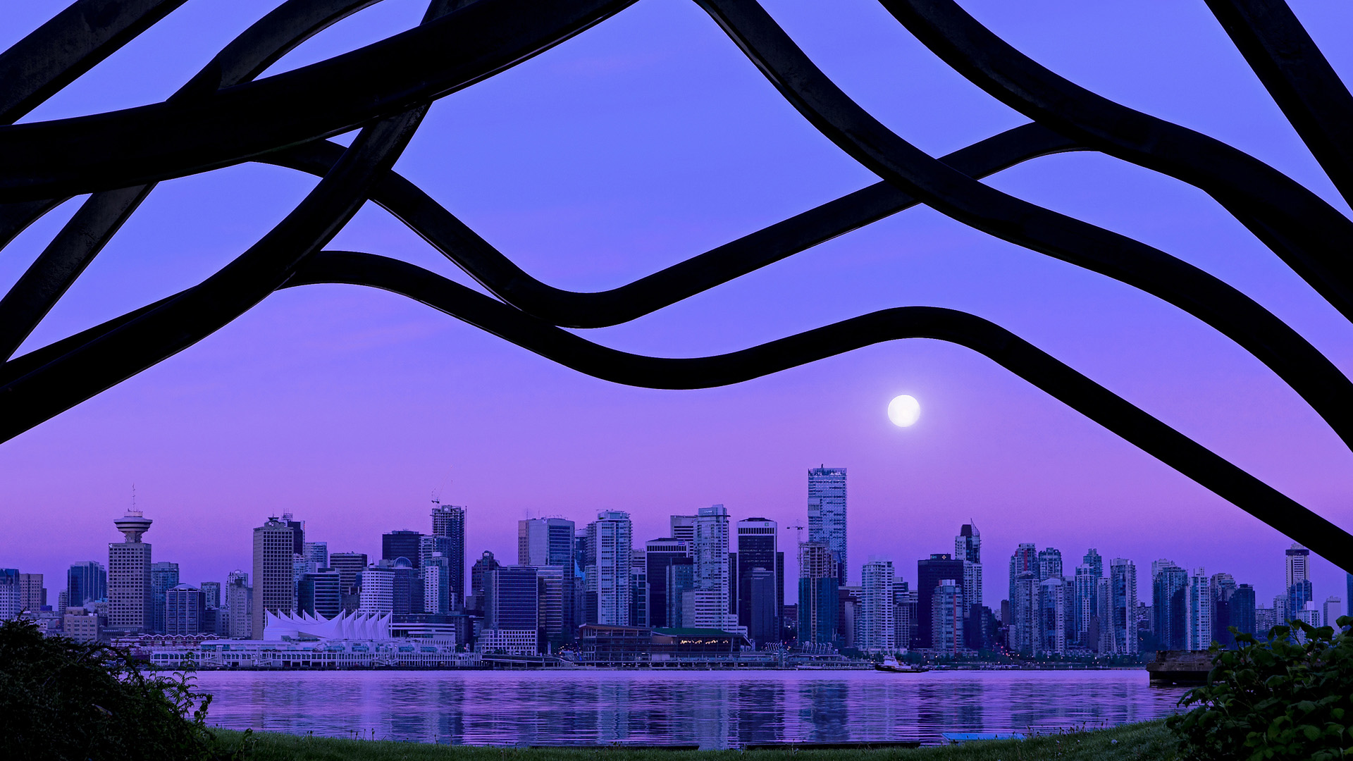 澳洲赛事观众热情高涨,场面壮观令人惊叹,澳洲球赛什么时候开赛