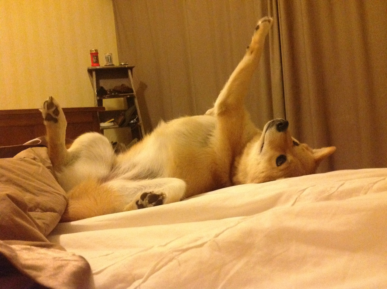 莫斯科火力全开，寻找欧洲冠军之路，莫斯科球队