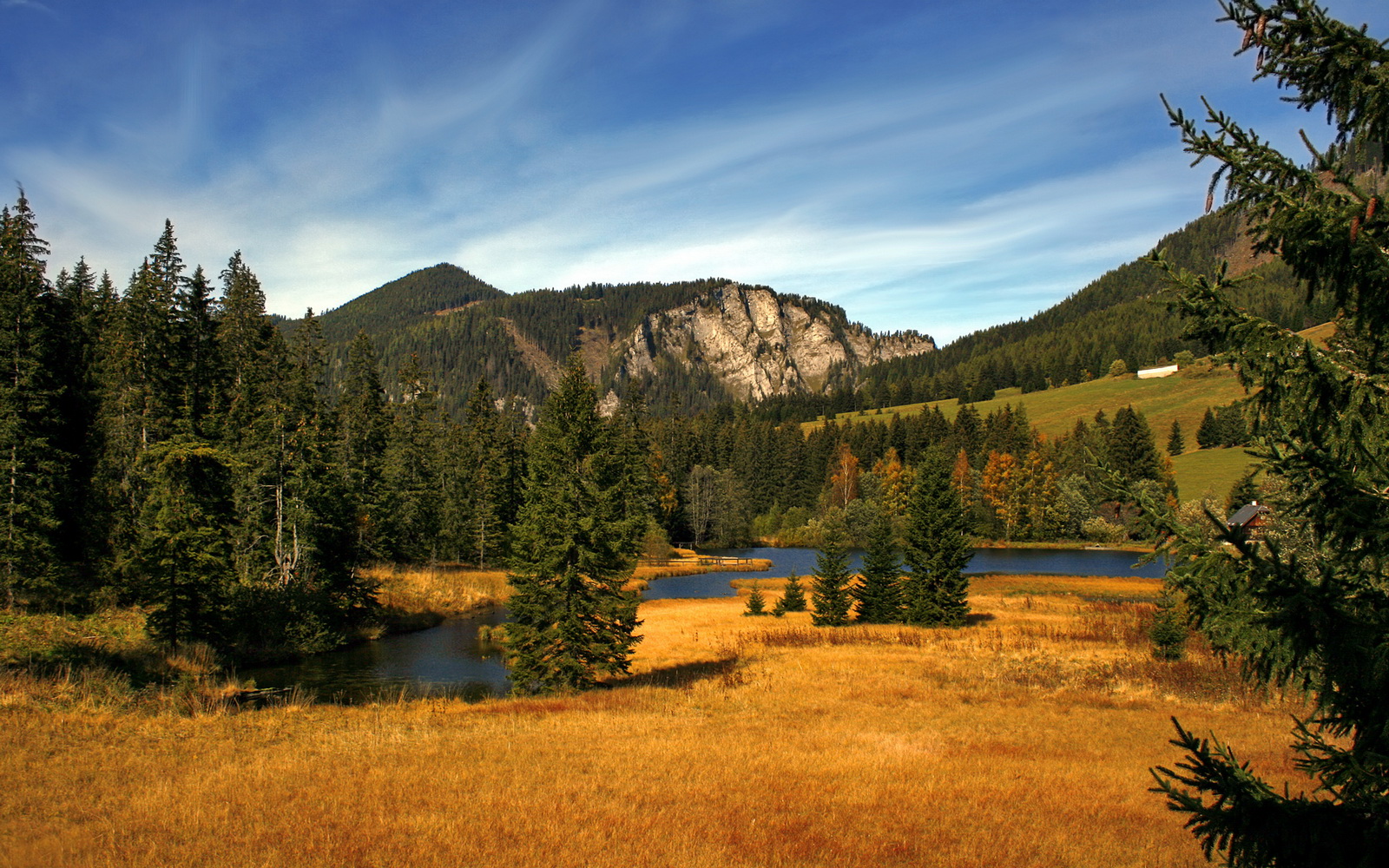 NBA赛季投篮效率排行榜，nba投球排名