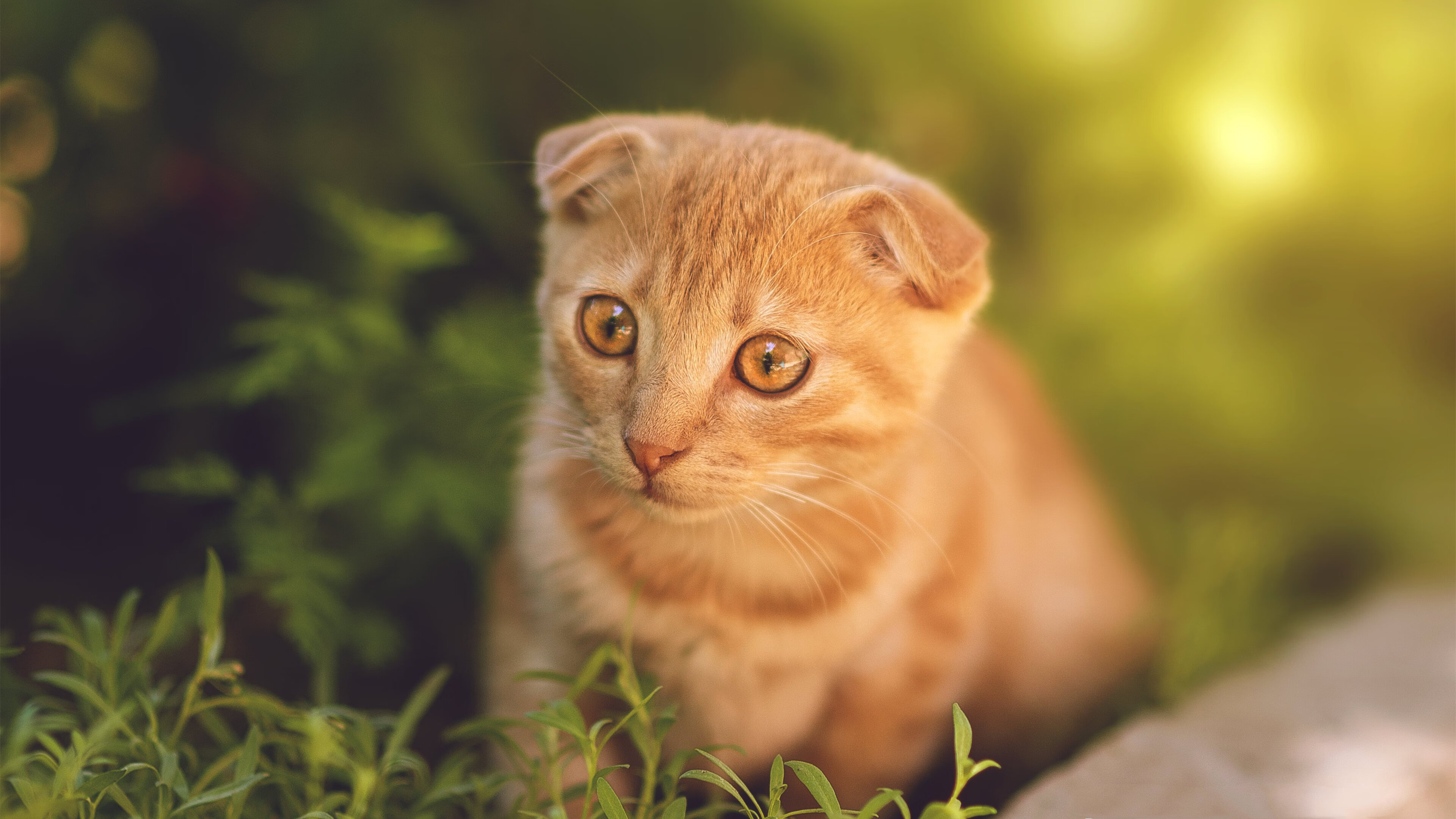 国足进攻端效率对比分析,国足进球数