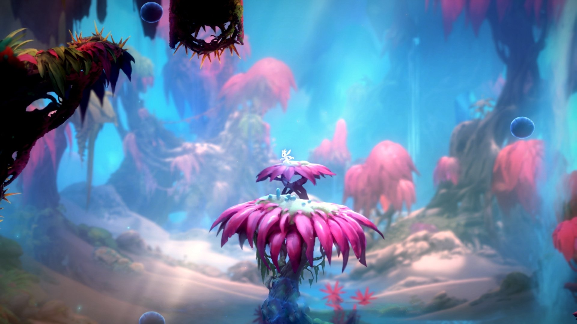 冲刺阶段爆发力增强,表现抢眼,冲刺爆发力训练