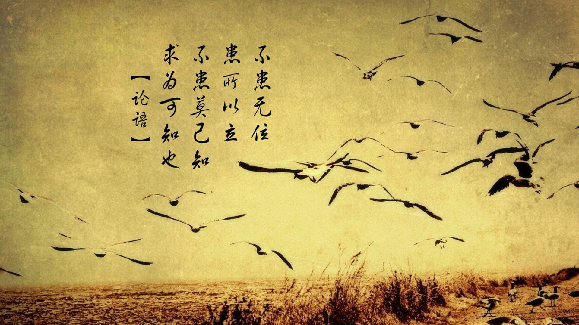 Jiu You-“尼古拉斯·桑特基的多面手技术，帮助阿根廷美洲狮队取得重要突破”