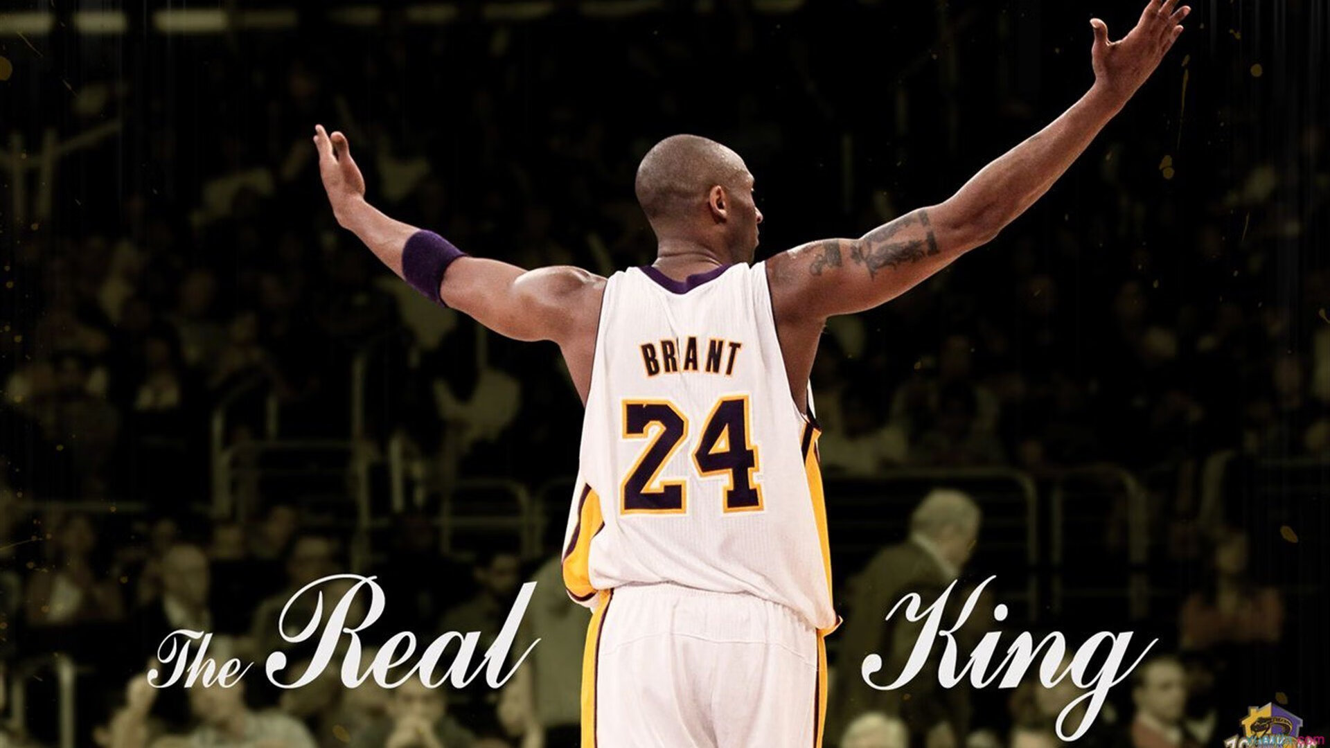 自动裁判和数据分析结合，比赛公平公正更上一层楼，自动裁判军旗