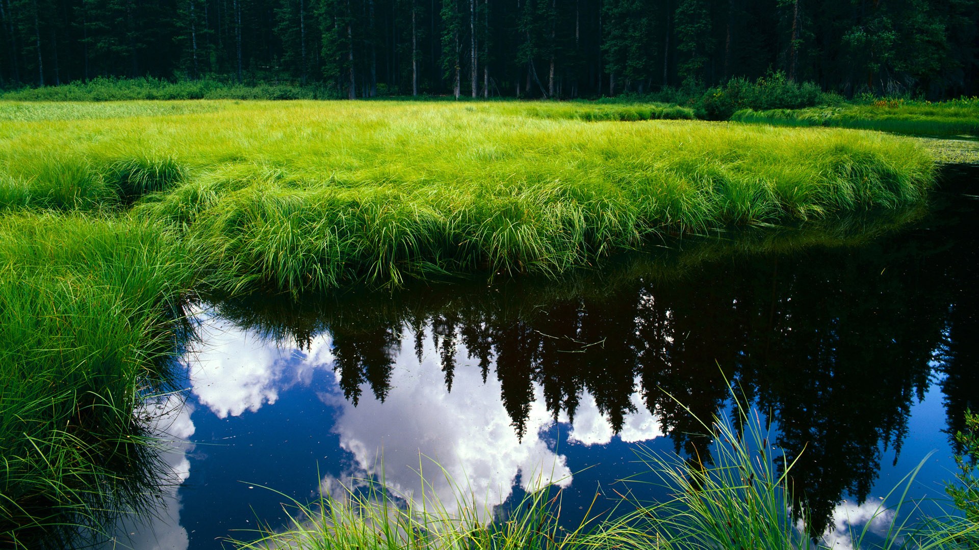 谷爱凌主场赢得胜利自由式滑雪赛场,自由滑雪选手谷爱凌